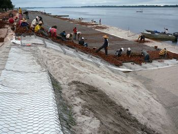 Protection des berges du fleuve Congo.